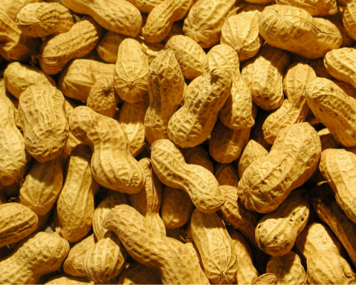 Untitled design (11)