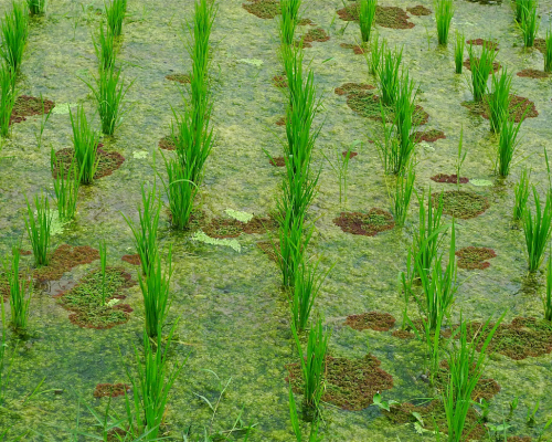 Untitled design (67)