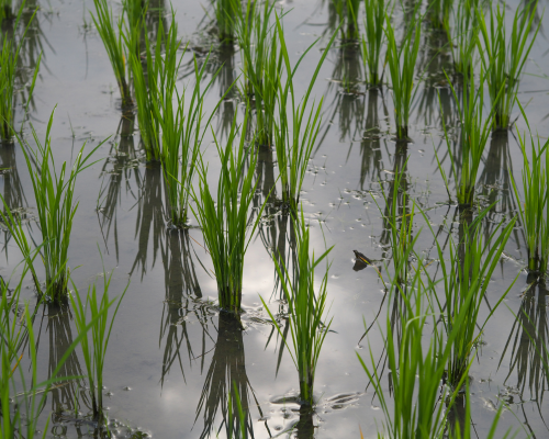 Untitled design (69)