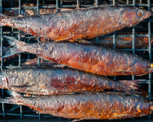 Untitled design - 2024-04-17T161400.517