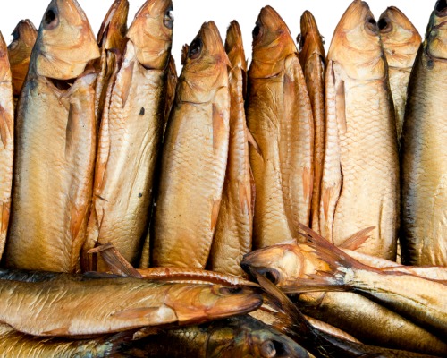 Untitled design - 2024-04-17T161649.233