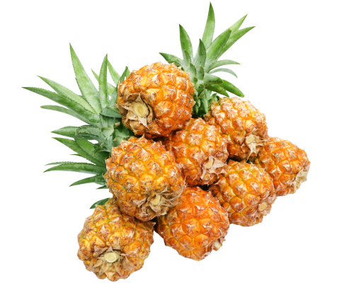 ananas (2)
