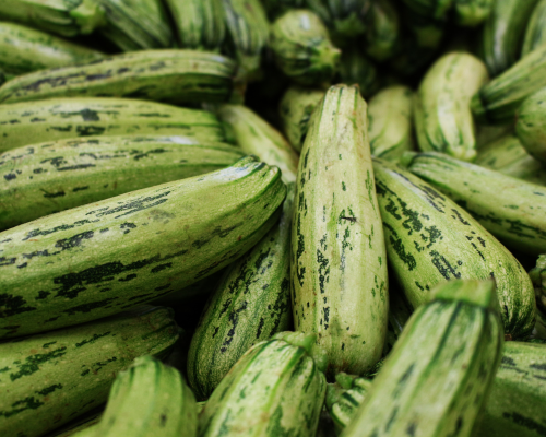 courgette