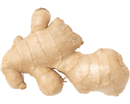 gingembre (3)