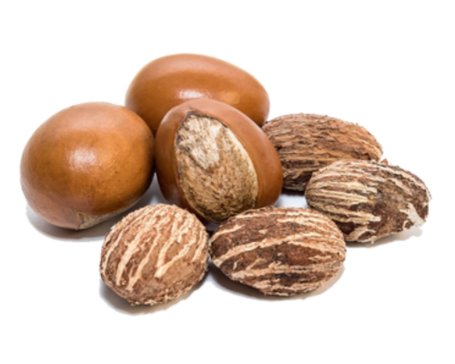 noix de karité (1)
